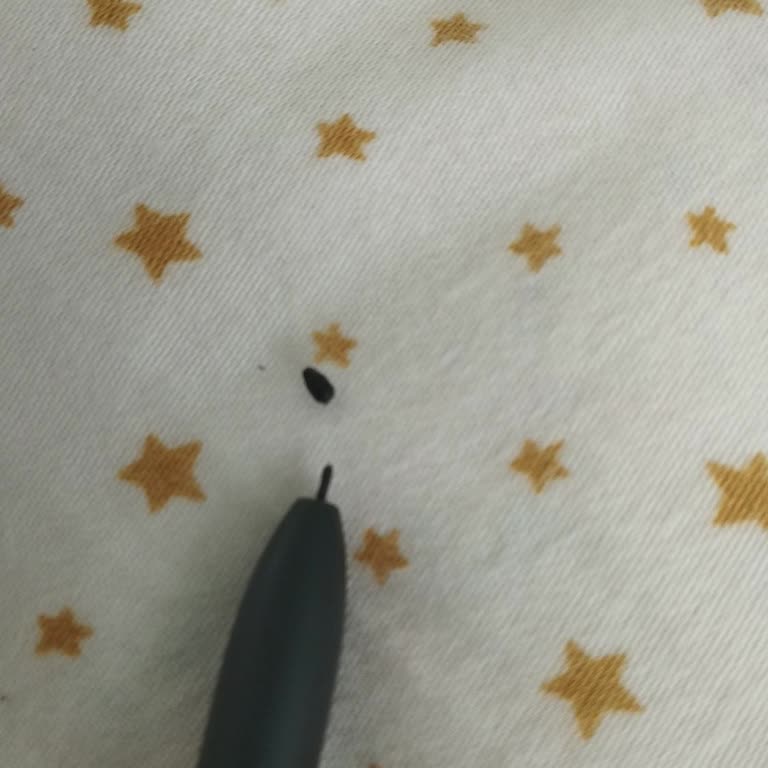 Samsung Tablet Kalemi İçin Uzun Süreli Servis Bekleme Sorunu