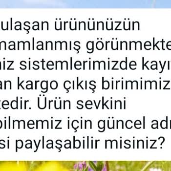 Schafer Blender Seti: 3 Ay Süren Servis Çilesi