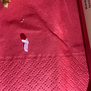 Kireçburnu Fırını'ndan Aldığım Galetada Plastik Parça