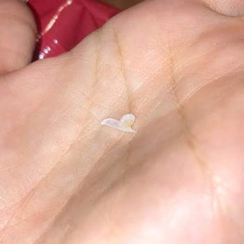 Kireçburnu Fırını'ndan Aldığım Galetada Plastik Parça