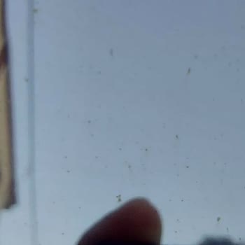 Krom Kaplama Sorunu Ve Yanıltıcı İnceleme