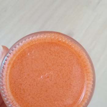 Jowe Kaş Sabitleyici'nin Beklenmedik Bozulması