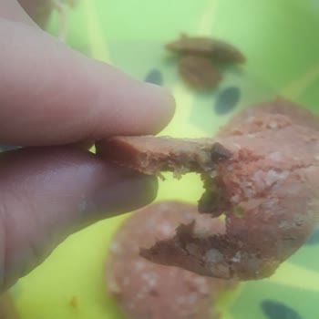 Aytaç Gıda Bozuk Görünen Sucuk Sorunu