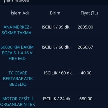 Fiat Egea Servisinde Garanti Kapsamı Sorunu Ve Müşteri Mağduriyeti