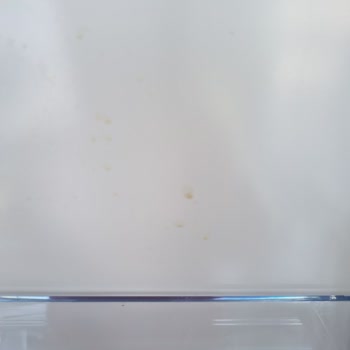 Bosch Buzdolabı Gürültüsü Ve Müşteri Hizmetleri Sorunu