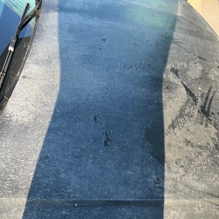 Garanti Kapsamı Dışında Kalan Kaput Kaplama Sorunu