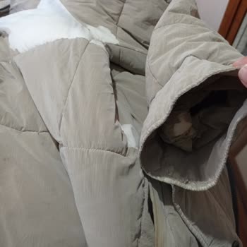 Mavi Markasının Ürün Kalitesi Ve Müşteri Hizmetleri Hayal Kırıklığı