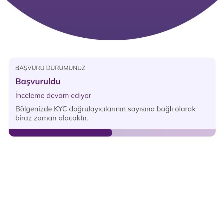 Pi Coin KYC Başvuru Sürecinde Belirsizlik Ve Yardım Talebi