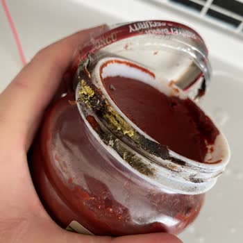 Küflü Kapaklı Domates Salçası Şikayeti