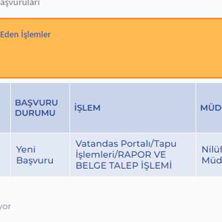 Bursa Nilüfer Tapu Müdürlüğü'nde Randevu Sorunu