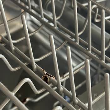 Teka Bulaşık Makinesi Paslanma Sorunu Sağlığımızı Tehdit Ediyor