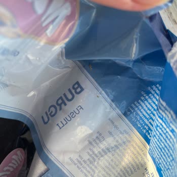 Tarihi Geçmemiş Üründe Böcek Şoku