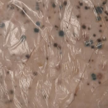 Gimsa Batıkent'te Küflü Yufka Mağduriyeti