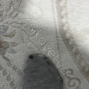 Jack Wolfskin Shoes Stain Feet – No Resolution After Multiple Complaints