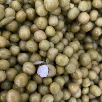 Tamek Konservenin İçinden Salyangoz Çıktı: Tüketici Sağlığı Tehlikede!