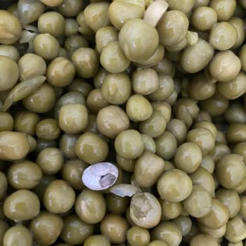 Tamek Konservenin İçinden Salyangoz Çıktı: Tüketici Sağlığı Tehlikede!