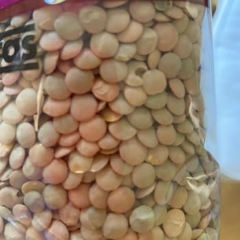 Harras Mercimek'te Böceklenme Sorunu!