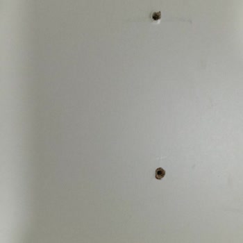 Bellona'dan Gelen Teşhir Ürünler: Yardım Bekliyorum!