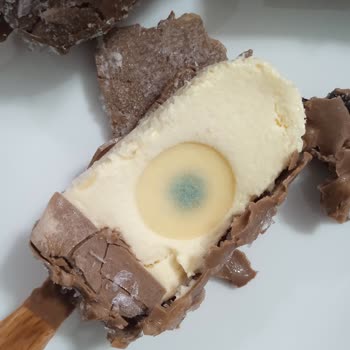 Küflü Magnum Skandalı: Sağlığımız Tehlikede!