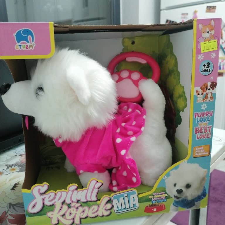 Oyuncak İadesinde Yaşanan Sorun