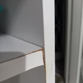 Greenest Ankastre Fırının Dolapları Mahvetmesi