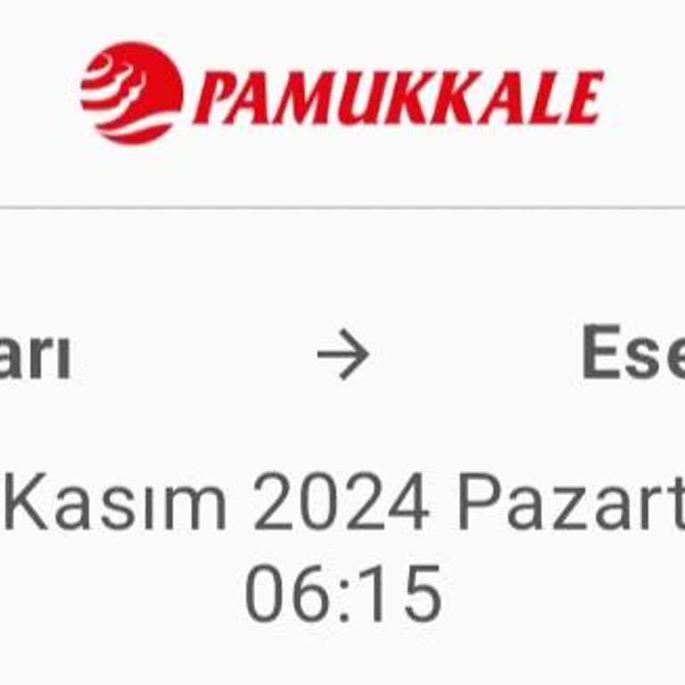 Pamukkale Turizm Otobüs Yolculuğunda Yaşanan Gergin Anlar Ve Güvenlik Sorunları