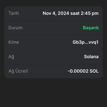 Phantom Wallet Güvenlik Açığı Ve Kayıp Para Sorunu
