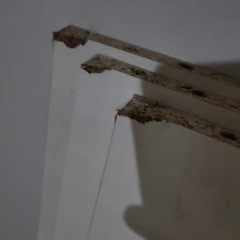 Ahs Mobilya Ve Halı Mobilya Teslimatında Büyük Hayal Kırıklığı