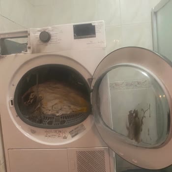 Kurutma Makinesi Tehlikesi: Arçelik'ten Geri Dönüş Bekliyorum