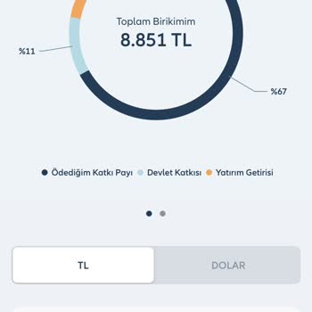 Allianz Bireysel Emeklilik Hesabında Eksik Birikim Ve Devlet Katkısı Sorunu