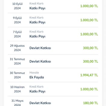 Allianz Bireysel Emeklilik Hesabında Eksik Birikim Ve Devlet Katkısı Sorunu