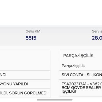 Ford Custom Panelvan: Bitmeyen Sorunlar Ve Hayal Kırıklığı