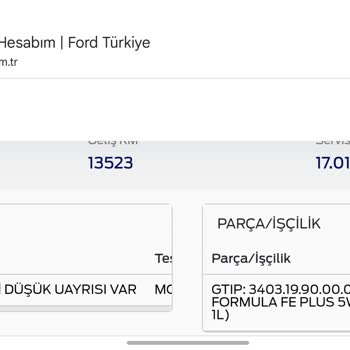 Ford Custom Panelvan: Bitmeyen Sorunlar Ve Hayal Kırıklığı