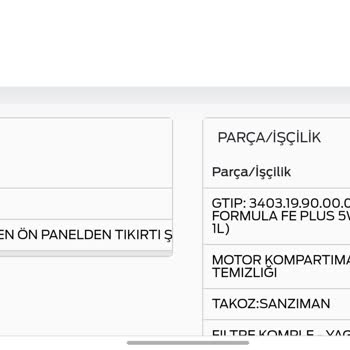 Ford Custom Panelvan: Bitmeyen Sorunlar Ve Hayal Kırıklığı