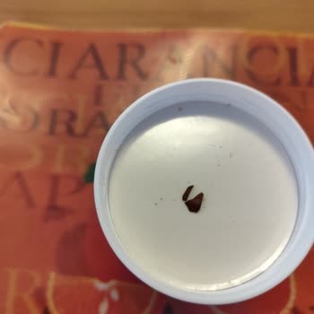 Tarım Kredi Kooperatifleri Marketinde Müşteri Hizmetleri Ve Ürün Güvenliği Sorunu