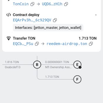 Ton.org Yanıltıcı Nft Vaadiyle Mağduriyet!