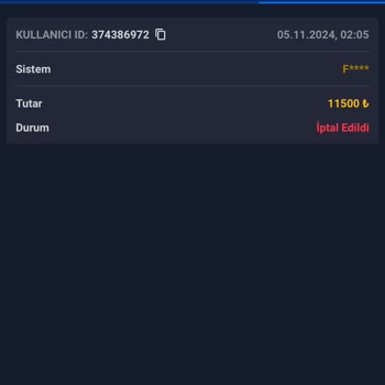 Oyun Platformunda Ani Para Kaybı Ve Güvenlik Sorunları