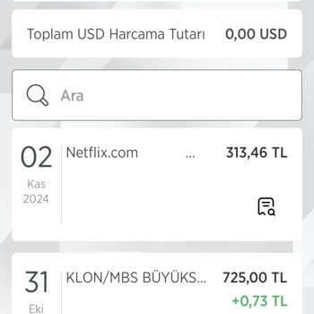Kedi Maması Siparişim Kayboldu: Ne Sipariş No Ne Kargo Bilgisi!