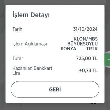Kedi Maması Siparişim Kayboldu: Ne Sipariş No Ne Kargo Bilgisi!
