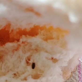 Ekmekte Böcek Şoku: Hijyen Sorunu