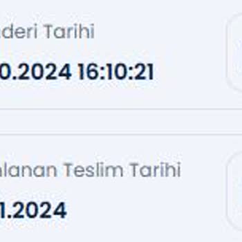 Kargo Teslimatında Gecikme Ve İletişim Sorunları