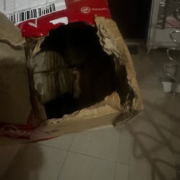 Hasarlı Ürün Teslimatı Ve İlgisiz Müşteri Hizmetleri