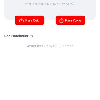 Payfix Hesabına Yatırılan Para Neden Gelmiyor