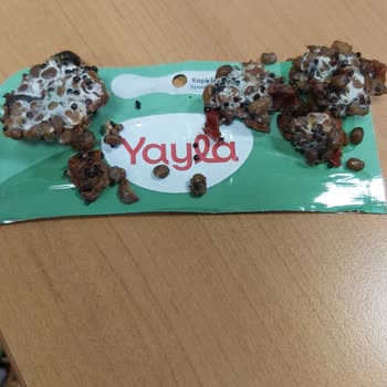Yayla Kapalı Paket İçinde Küflenen Yayla Hazır Salata!