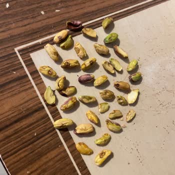 Kalitesiz Antep Fıstığına Yüksek Fiyat Ödemesi