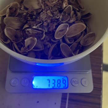 Kalitesiz Antep Fıstığına Yüksek Fiyat Ödemesi