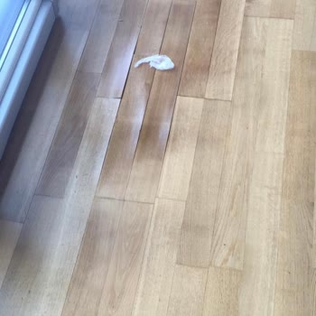 Mimyap İnşaat Ada Rezidans'ta Bitmeyen Su Baskını Ve Yapısal Sorunlar