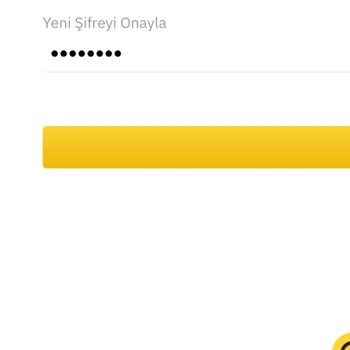 Binance TR Şifre Yenileme Sorunu