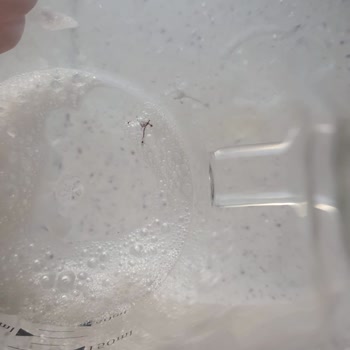 Yanmış Protein Tozu Şoku: Pınar Süt'te Kalite Kontrol Sorunu