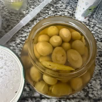Zeytin Kavanozunda İstenmeyen Misafirler